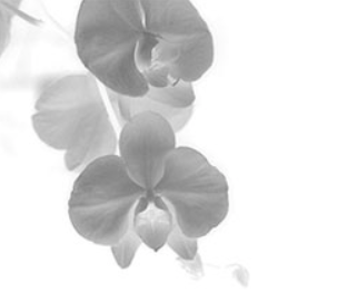 EliteXPERT Porträt: Oeser Logo